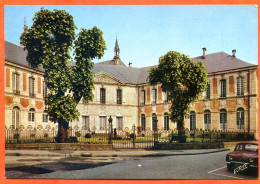 88 REMIREMONT Palais Abbatial Jardin Des Olives  Voiture Carte Vierge TBE - Remiremont