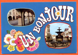 88 REMIREMONT Multivues Arcades Fontaine Dauphins Bonjour Fleurs CIM By Spadem Carte Vierge TBE - Remiremont