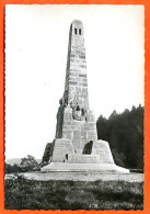 88 REMIREMONT Monument Aux Morts De La Grande Guerre Carte Vierge TBE - Remiremont