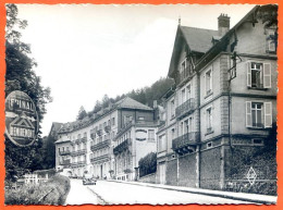 88 PLOMBIERES Les Hotels Rue Voiture Traction Carte Vierge TBE - Plombieres Les Bains