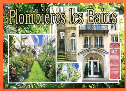 88 PLOMBIERES LES BAINS Multivues Carte Vierge TBE - Plombieres Les Bains