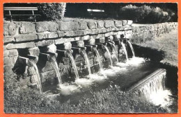 88 PLOMBIERES LES BAINS Cascades Du Grand Parc Carte Vierge TBE - Plombieres Les Bains