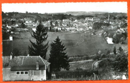 88 MIRECOURT Vue Générale CIM Dentelée Carte Vierge TBE - Mirecourt