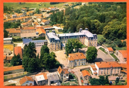 88 MARTIGNY LES BAINS  Vue  Aérienne Villa Des Fleurs Et Le Chateau CIM Carte Vierge TBE - Other & Unclassified