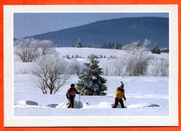 88 Les Vosges Sous La Neige Ski De Fond Skieurs Carte Vierge TBE - Other & Unclassified