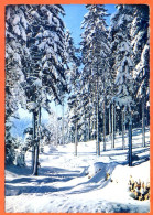 88 Les VOSGES Sous La Neige Paysage Hiver CIM Dentelée Carte Vierge - Other & Unclassified