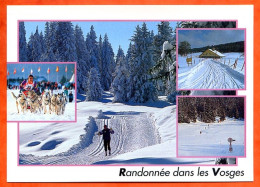 88 Les Vosges Sous La Neige  Randonnée Dans Les Vosges Ski De Fond 4 Vues Carte Vierge TBE - Other & Unclassified