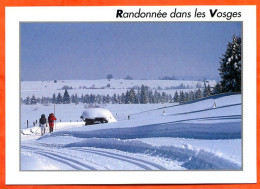 88 Les Vosges Sous La Neige  Randonnée Dans Les Vosges Ski De Fond Carte Vierge TBE - Other & Unclassified
