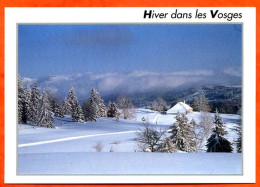 88 Les Vosges Sous La Neige  Hiver Dans Les Vosges Carte Vierge TBE - Other & Unclassified