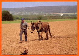 88 Vosges Vieux Métiers La Mule Poulette Paysan Herse Carte Vierge TBE - Farmers