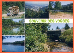 88 VOSGES TOURISTIQUES Multivues Souvenir Des  Schlitteur Foret Lac Vallee CIM TBE - Other & Unclassified