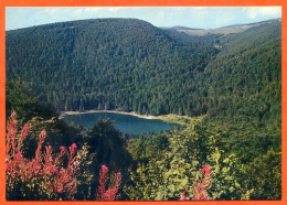 88 Vosges Touristiques LAC DE BLANCHEMER  CIM Carte Vierge TBE - Other & Unclassified