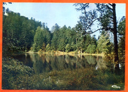88 VOSGES TOURISTIQUES Le Lac De La Maix CIM Carte Vierge TBE - Other & Unclassified