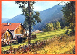 88 VOSGES TOURISTIQUES Ferme Foret  CIM Carte Vierge TBE - Other & Unclassified