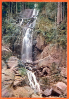 88 VOSGES TOURISTIQUES Cascade De Tendon  CIM Carte Vierge TBE - Other & Unclassified