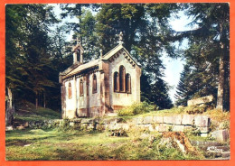 88 VOSGES TOURISTIQUES Chapelle De Notre Dame De La Maix  CIM Carte Vierge TBE - Other & Unclassified