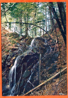 88 VOSGES TOURISTIQUES Cascade De La Crache CIM TBE - Other & Unclassified