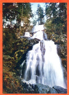 88 VOSGES TOURISTIQUES Cascade De Tendon   CIM Carte ViergeTBE - Other & Unclassified