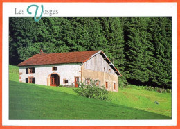 88 Vosges Ferme Montagne Foret Sapins Carte Vierge TBE - Other & Unclassified