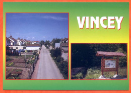 88 VINCEY Multivues Cités De La Filature Parcours Santé Du Grand Bois Carte Vierge TBE - Vincey