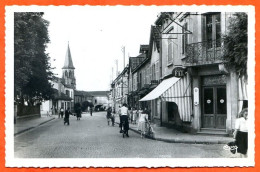 88 THAON LES VOSGES  Avenue Des Fusillés  CIM Carte Vierge TBE - Thaon Les Vosges