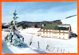 88 ST MAURICE SUR MOSELLE Ferme Auberge  Rouge Gazon Hiver Carte Vierge TBE - Other & Unclassified