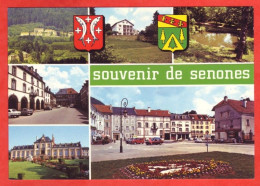 88 SENONES Souvenir De Senones En Salm Multivues Blason  Carte Vierge TBE - Senones