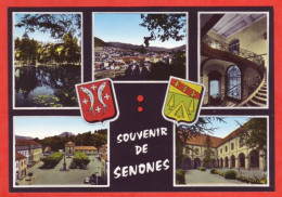 88 SENONES Souvenir De Senones En Salm Multivues Blason Pierron Carte Vierge TBE - Senones