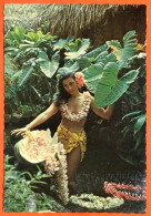 Etats Unis  ISLAND BEAUTY Hawaii  Carte Vierge TBE  ( Scan Recto Verso) - Honolulu