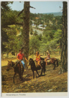 Troodos / Τροόδος - Horseriding On Troodos - Chypre