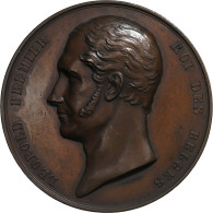 Belgique, Médaille, Léopold Ier, Académie De Médecine, 1841, Bronze - Other & Unclassified