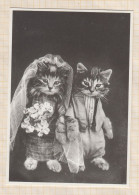 24E44 CHAT CHATS CAT Illustrateur Chats Humanisés Mariés Just Married - Katten