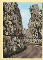 39. Route D'Arbois à Champagnole / CPSM (voir Scan Recto/verso) - Sonstige & Ohne Zuordnung