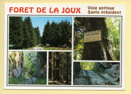 39. FORET DE LA JOUX – Multivues (voir Scan Recto/verso) - Autres & Non Classés