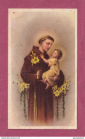 Santino, Holy Card- S. Antonio Da Padova. Ed. EG N° 242. Con Approvazione Ecclesiastica. - Devotion Images