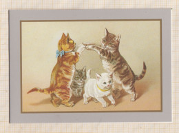 24E48 CHAT CHATS CAT Carte Double Illustrateur Chats Humanisés Jeu Danse - Cats