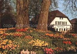 71822821 Insel Mainau Schwedenschenke Insel Mainau - Konstanz