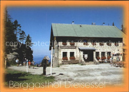 71822806 Neureichenau Berggasthof Dreisessel Neureichenau - Autres & Non Classés