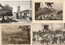 CORSE - Lot De 4 CPSM : CARGESE - AJACCIO - EVISA - Bénédictions Des Cochons - Autres & Non Classés