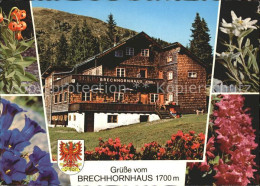 71822261 Kirchberg Tirol Brechhornhaus Alpenblumen Kirchberg In Tirol - Autres & Non Classés