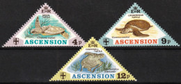 1973 Ascension Sea Turtles Set (** / MNH / UMM) - Turtles