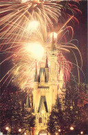 Parc D'Attractions - Walt Disney World - The Night Sky Is Afire At Walt Disney World With Dramatic Fireworks Displays Ov - Disneyworld