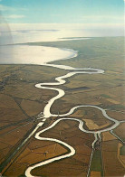 85 - L'Aiguillon Sur Mer - Les Méandres De La Sèvre Niortaise  Au Pont Du Braud  Au Fond La Baie De L'Aiguillon - Vue Aé - Andere & Zonder Classificatie