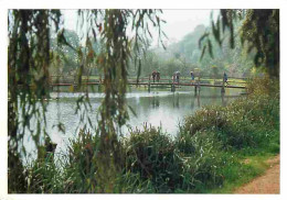 71 - Taizé - Ballade Sur Le Pont - CPM - Voir Scans Recto-Verso - Other & Unclassified