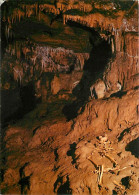 12 - Foissac Capvern - Grottes De Foissac - Sépulture Rituelle Chalcolithique (4000 Ans) - CPM - Voir Scans Recto-Verso - Other & Unclassified