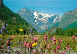 05 - Hautes Alpes - Vallée De Champoléon - CPM - Voir Scans Recto-Verso - Autres & Non Classés