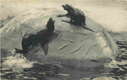 Animaux - Parc Zoologique Du Bois De Vincennes - Otaries De Californie - CPA - Carte Neuve - Voir Scans Recto-Verso - Autres & Non Classés