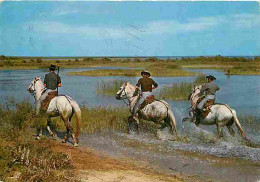 Animaux - Chevaux - Camargue - Cavaliers Camarguais Sur Les Bords Du Vaccarès - CPM - Voir Scans Recto-Verso - Paarden