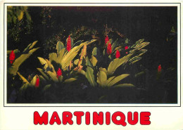 Martinique - Buisson Ardent - Evergreen Thorn - CPM - Voir Scans Recto-Verso - Autres & Non Classés