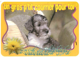 Chiens - CPM - Voir Scans Recto-Verso - Chiens